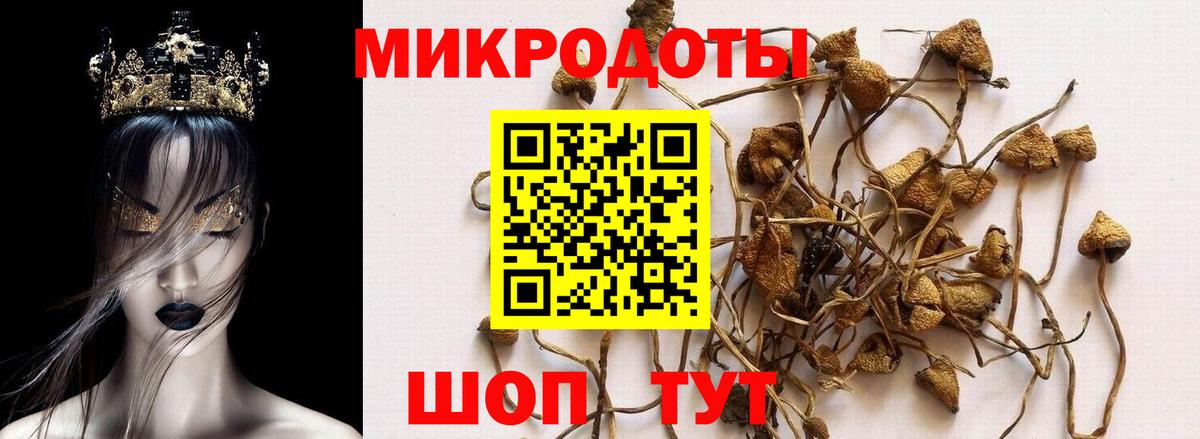 Златоуст  Галлюциногенные грибы MAGIC MUSHROOMS  где найти наркотики  Вход с VPN 